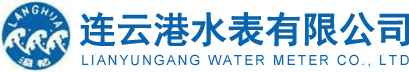 江苏水表厂_小口径水表_智能水表厂家-连云港水表有限公司
